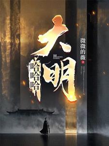 摄政大明txt