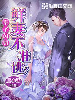 奉子闪婚的情节概括